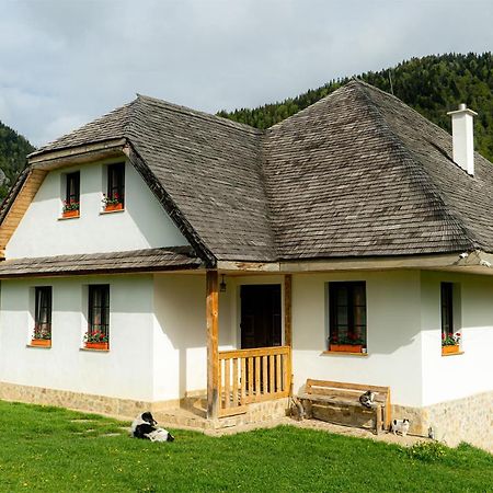 Pensiunea Hodaita Măgura Exterior foto