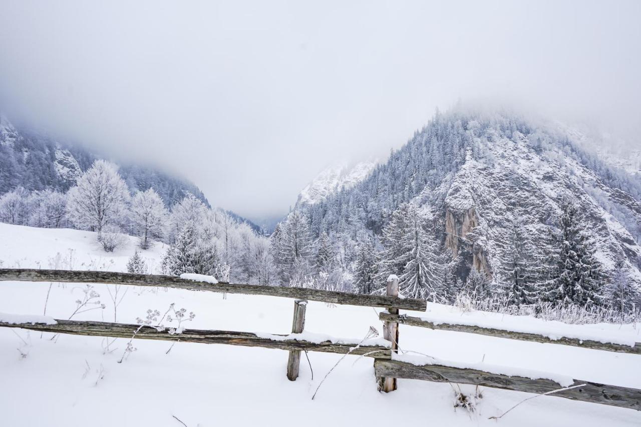 Pensiunea Hodaita Măgura Exterior foto