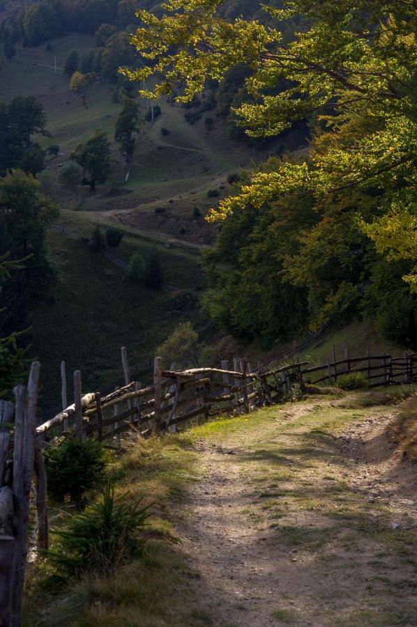 Pensiunea Hodaita Măgura Exterior foto