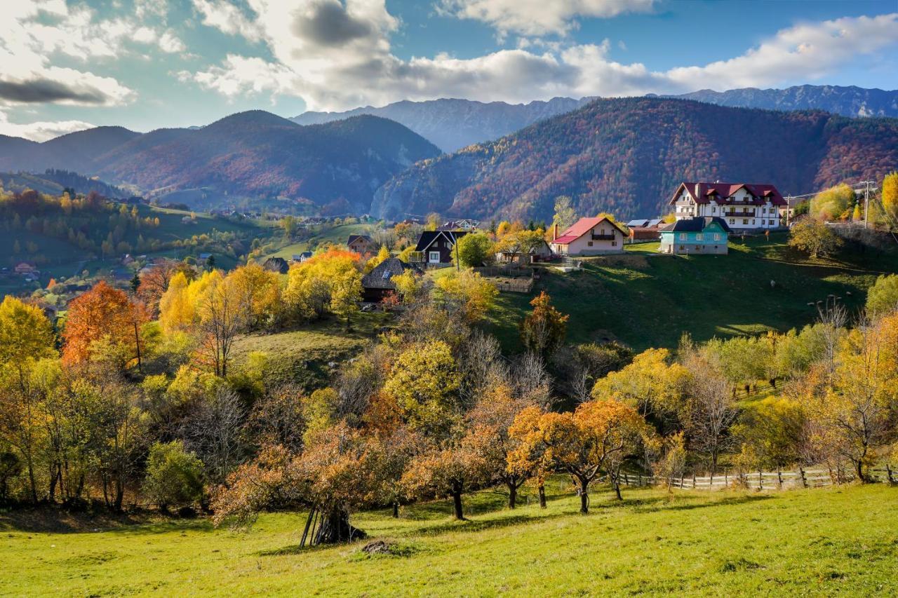 Pensiunea Hodaita Măgura Exterior foto