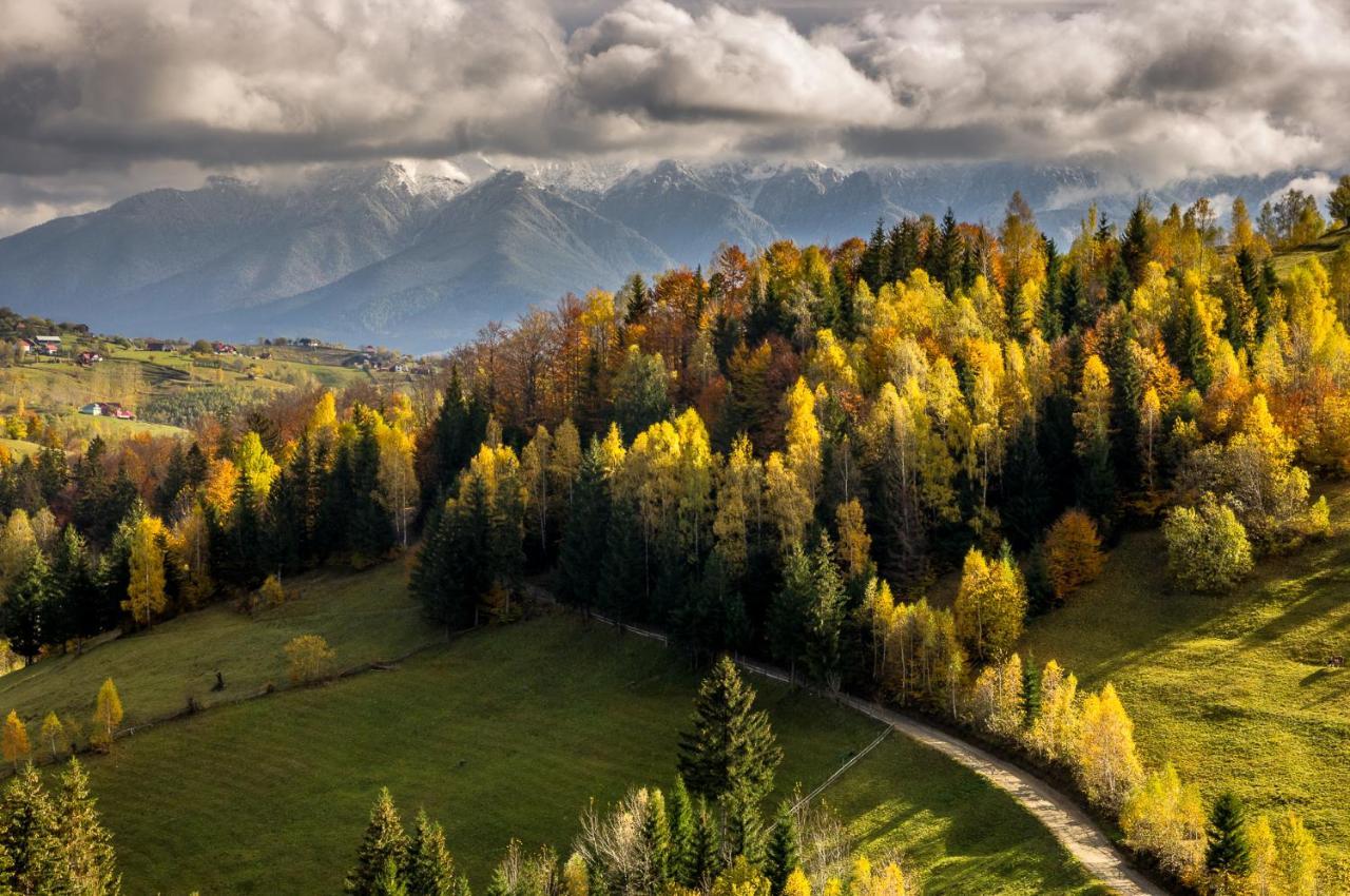 Pensiunea Hodaita Măgura Exterior foto