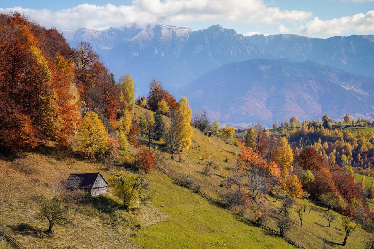 Pensiunea Hodaita Măgura Exterior foto