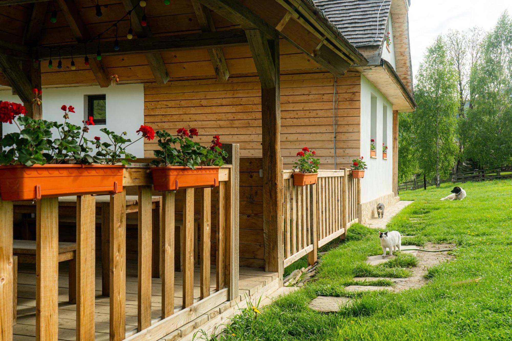 Pensiunea Hodaita Măgura Exterior foto