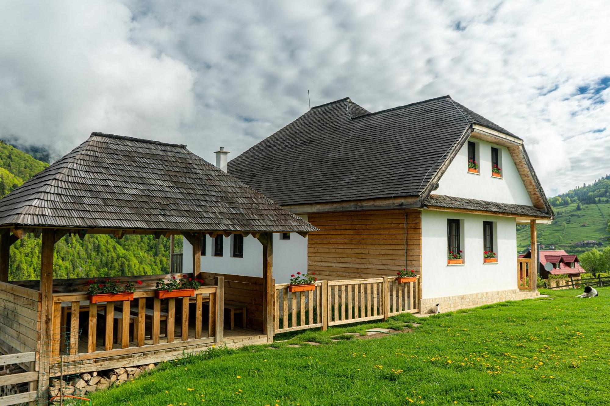 Pensiunea Hodaita Măgura Exterior foto